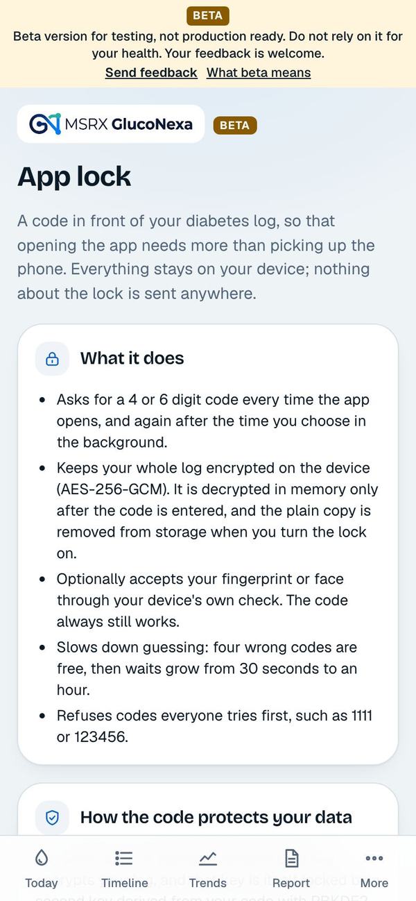 The app lock explanation page